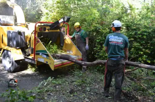 tree services Valdosta